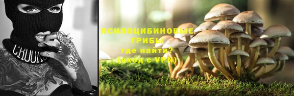 MESCALINE Осинники
