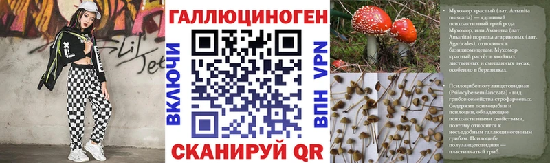 закладка  гидра   Галлюциногенные грибы Psilocybine cubensis  Струнино 